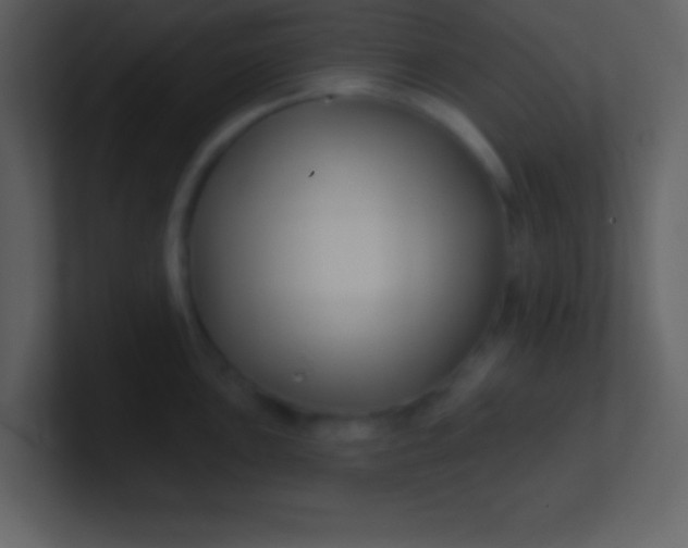 X0000100891051200807081037