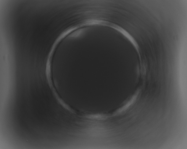 X0000100891053200807081037