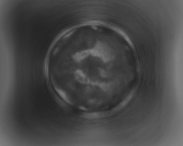 X0000100891054200807081037