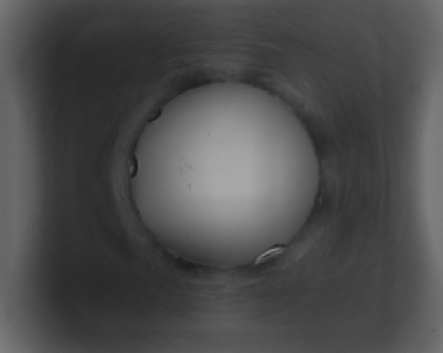 X0000100891057200807081036