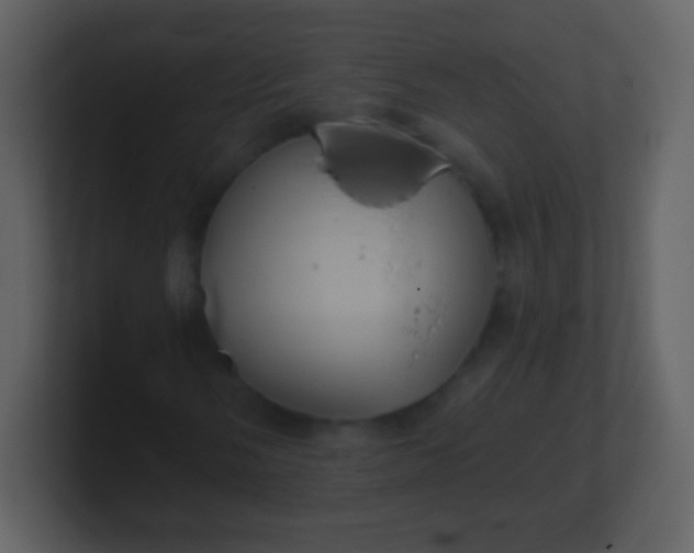 X0000100891058200807081036