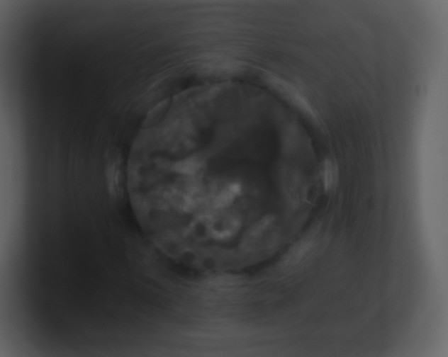 X0000100891059200807081036