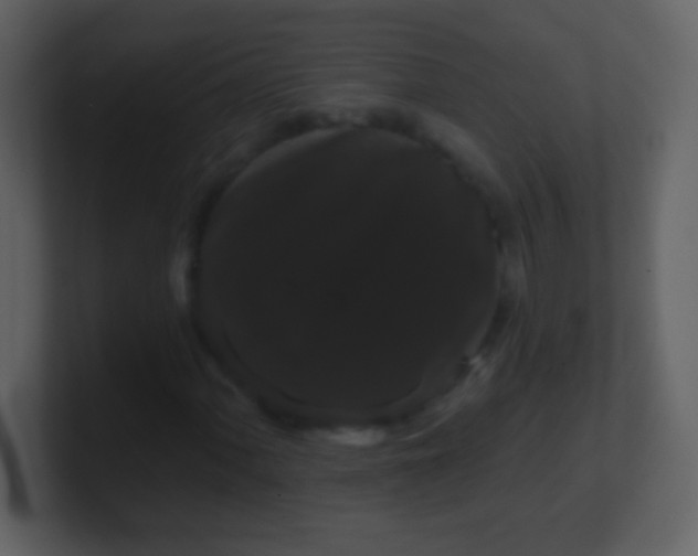 X0000100891060200807081036