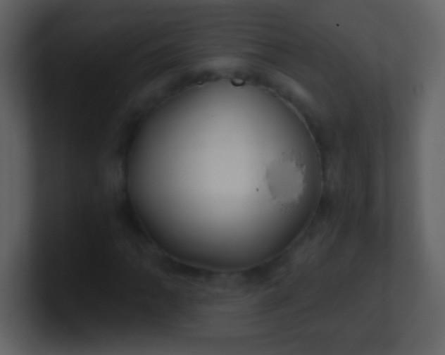 X0000100891062200807081036