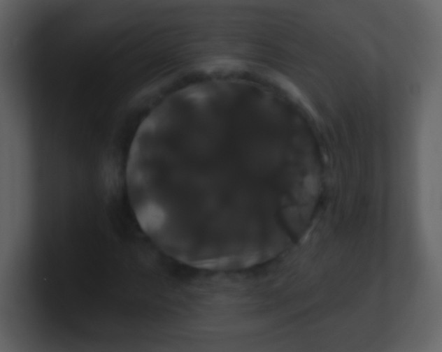 X0000100891063200807081036