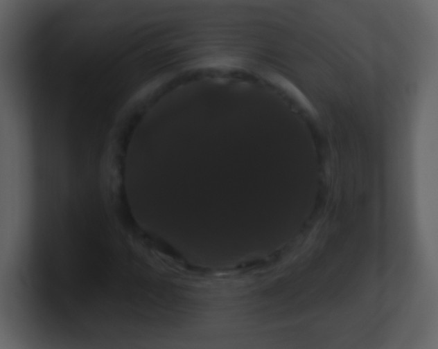 X0000100891064200807081036