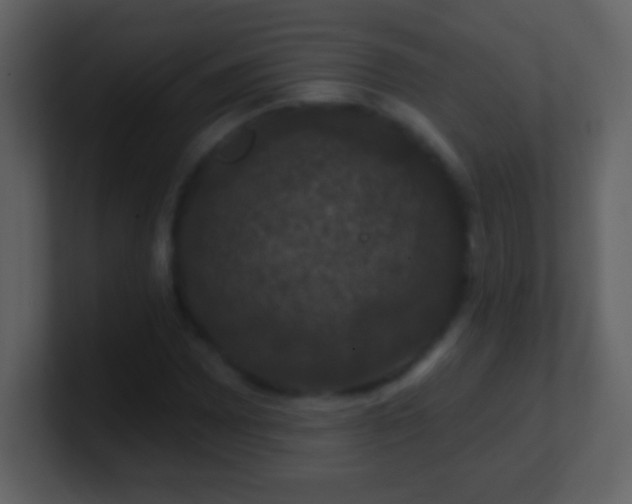 X0000100891065200807081036