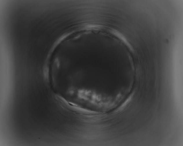 X0000100891066200807081036