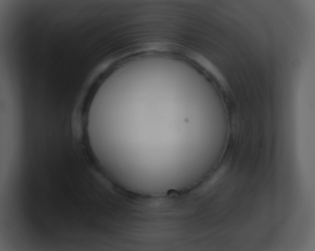 X0000100891067200807081036