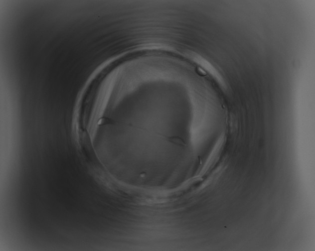 X0000100891068200807081036