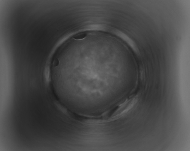 X0000100891069200807081036