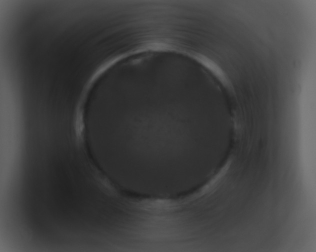 X0000100891070200807081036