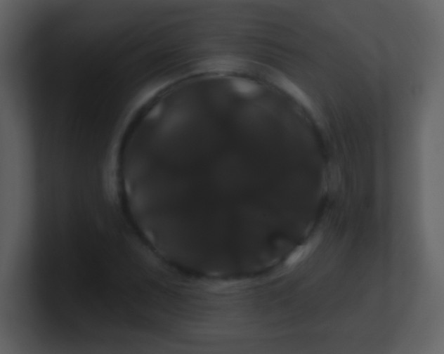 X0000100891071200807081036