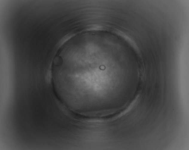 X0000100891073200807081036