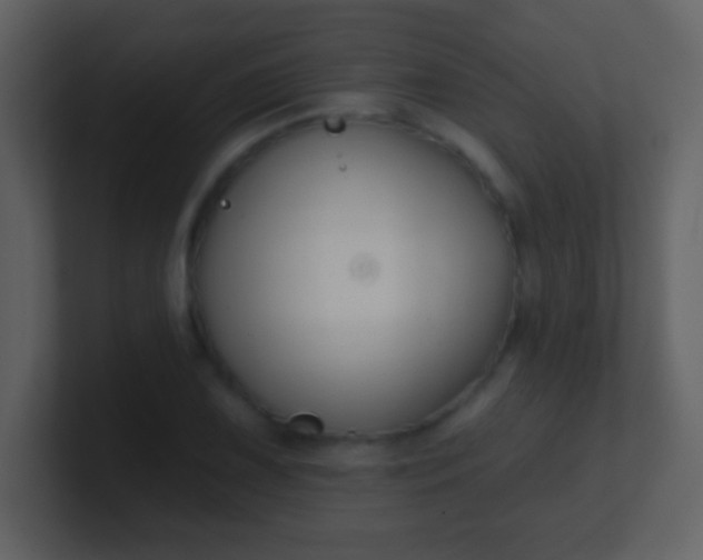 X0000100891075200807081036