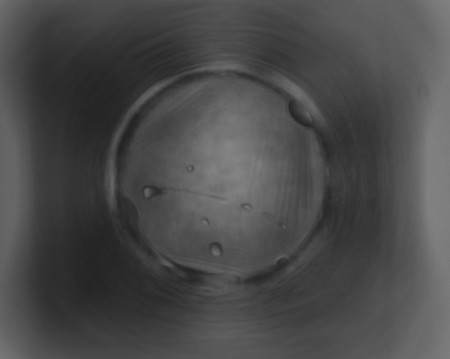 X0000100891076200807081036