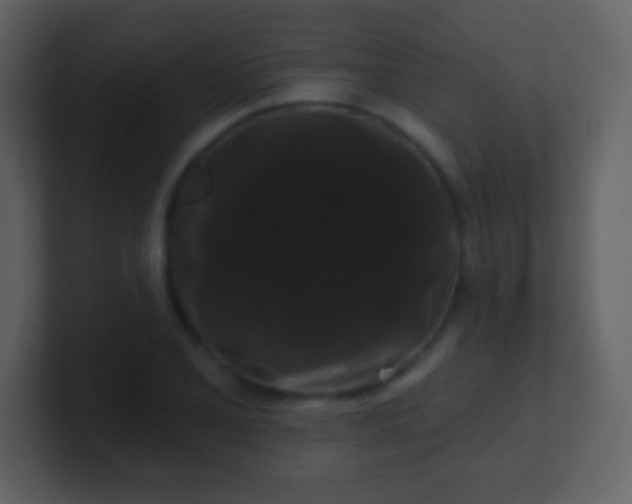 X0000100891077200807081036