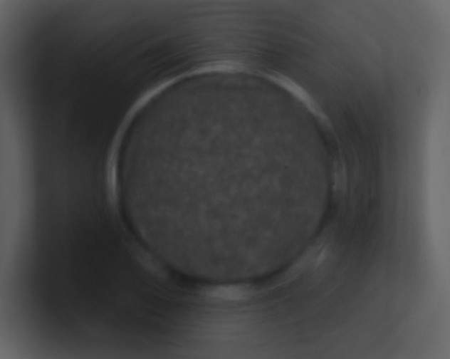 X0000100891078200807081036