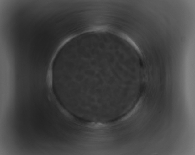 X0000100891079200807081036