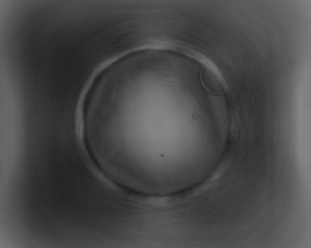 X0000100891080200807081036