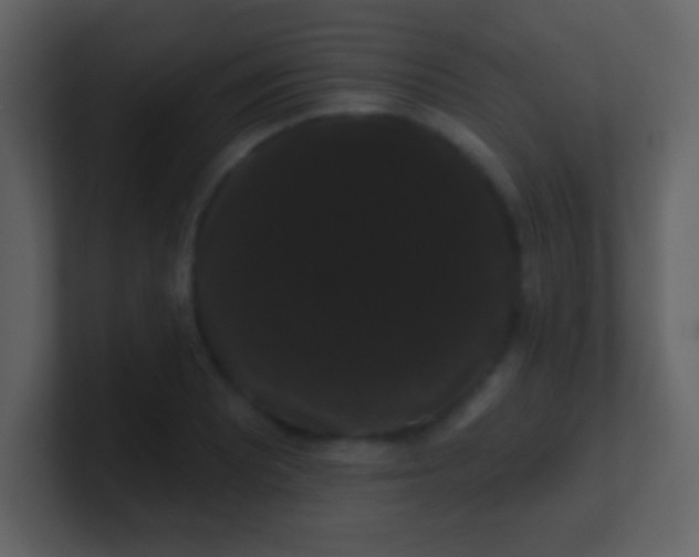 X0000100891081200807081036