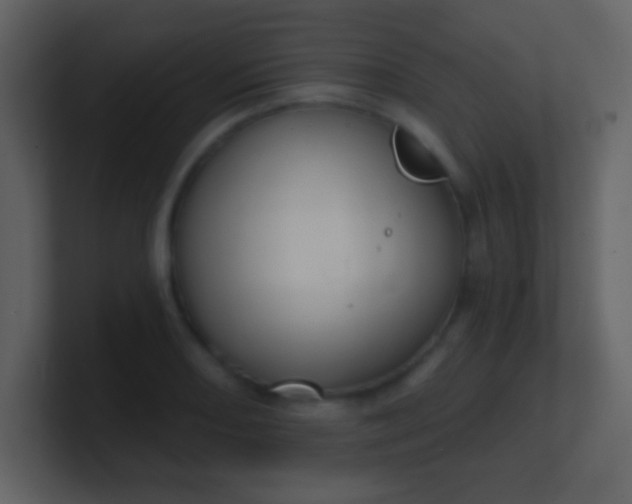 X0000100891082200807081036