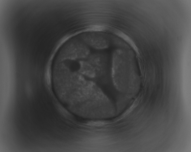 X0000100891083200807081036