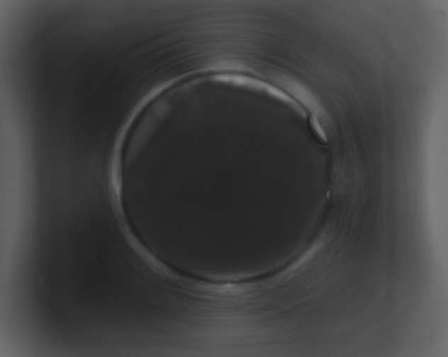 X0000100891084200807081036