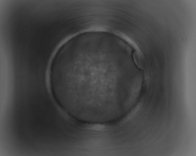 X0000100891085200807081036