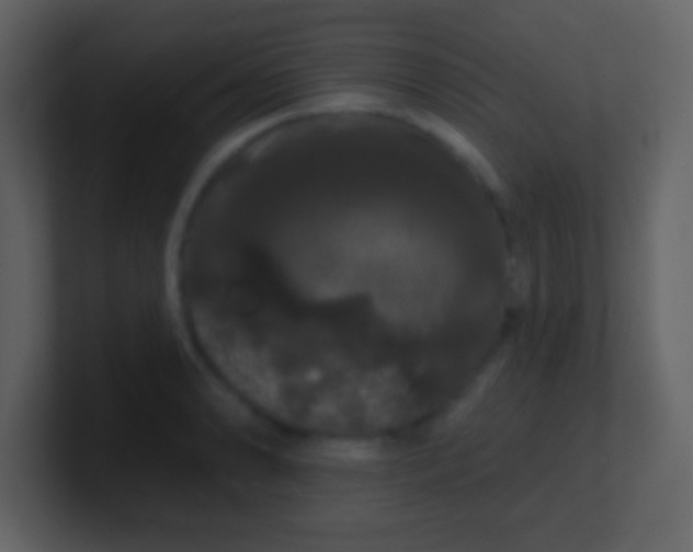 X0000100891086200807081036