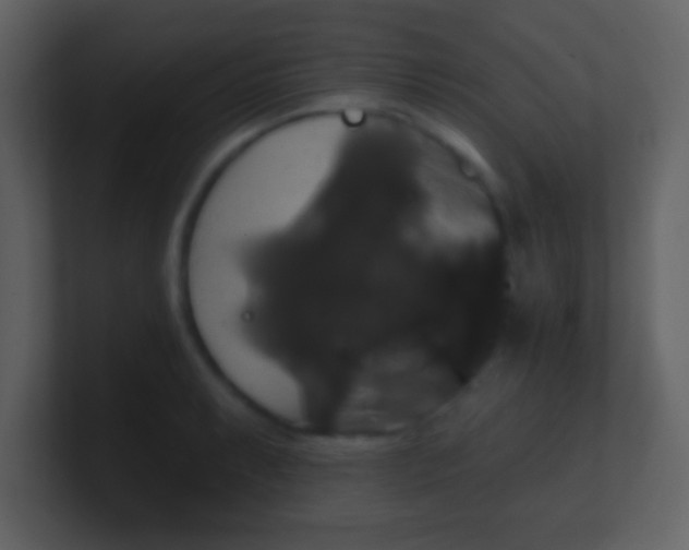 X0000100891087200807081036