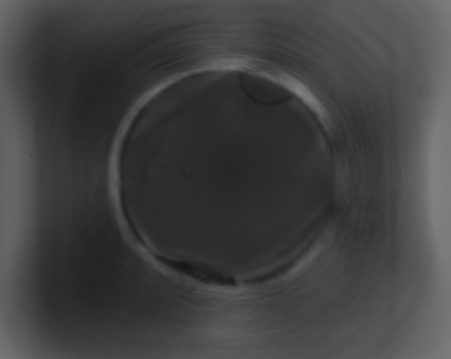 X0000100891088200807081036