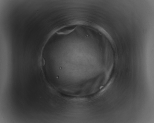 X0000100891089200807081036