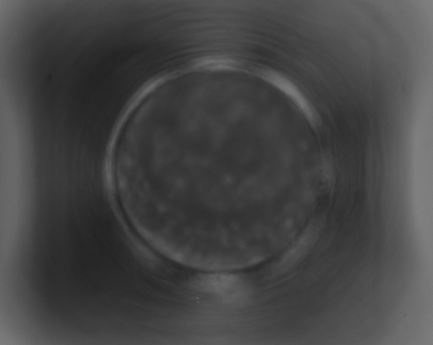 X0000100891090200807081036