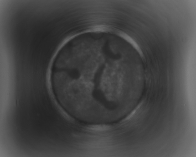 X0000100891091200807081036