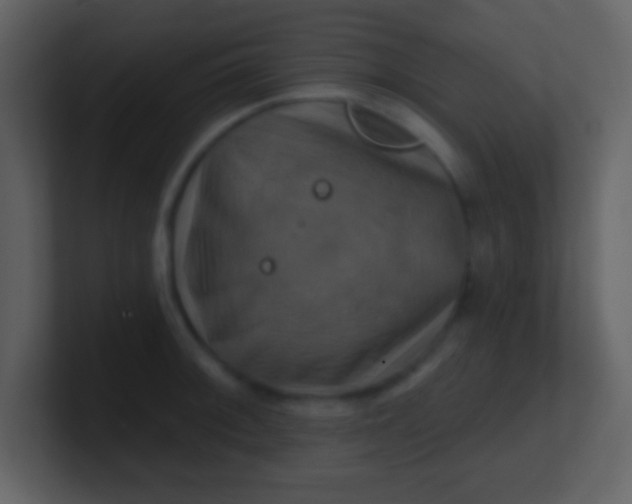 X0000100891092200807081036