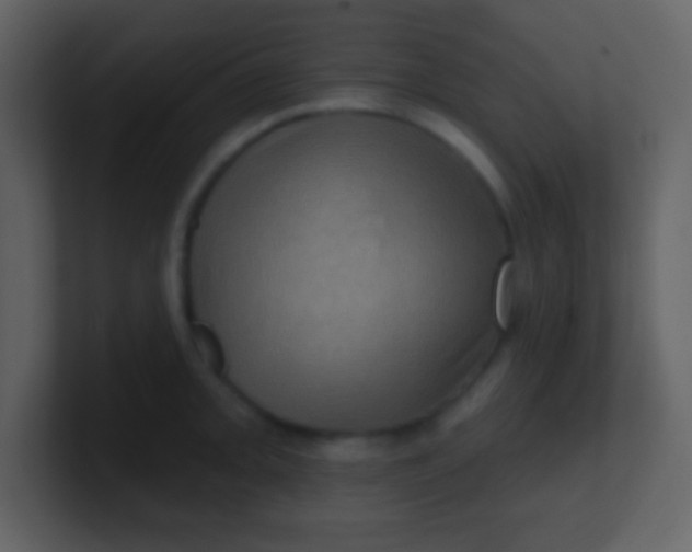 X0000100891093200807081036