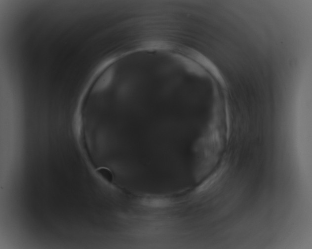 X0000100891095200807081036