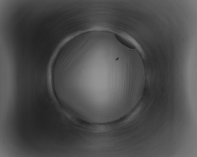 X0000100891096200807081036