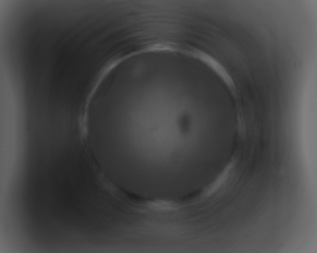 X0000100891097200807081036