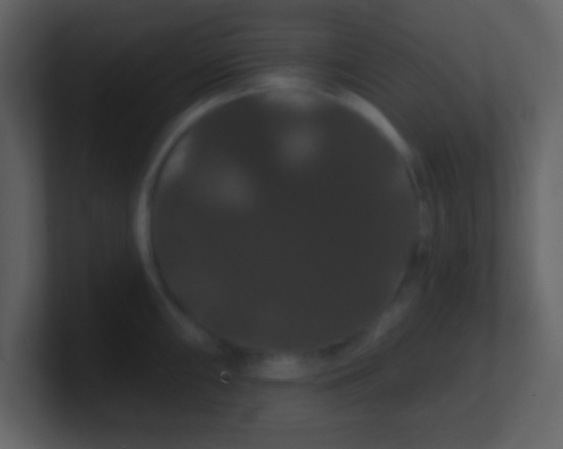 X0000100891098200807081036