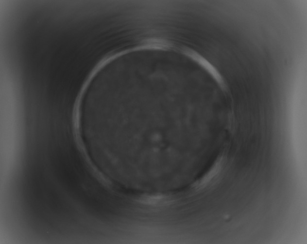 X0000100891099200807081036