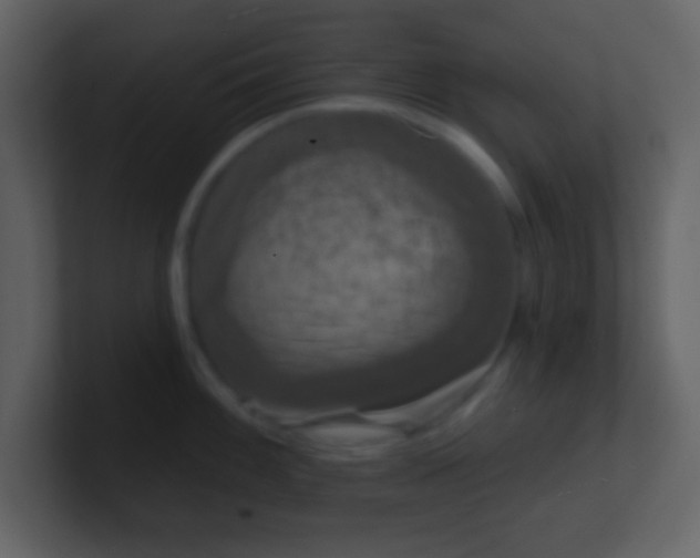 X0000100891100200807081035