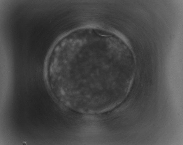 X0000100891104200807081035