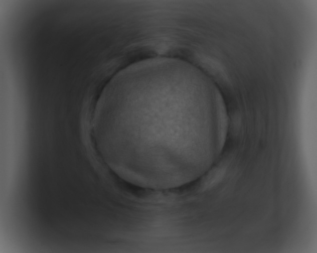 X0000100891105200807081035