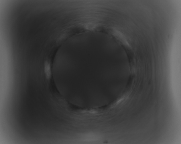 X0000100891106200807081035