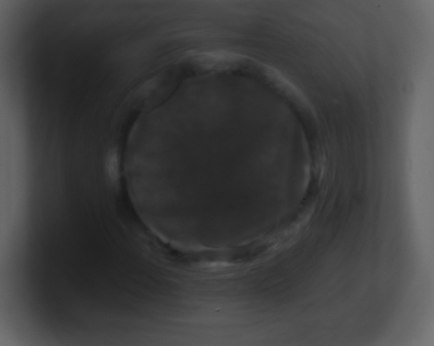 X0000100891108200807081035