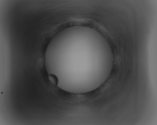 X0000100891109200807081035