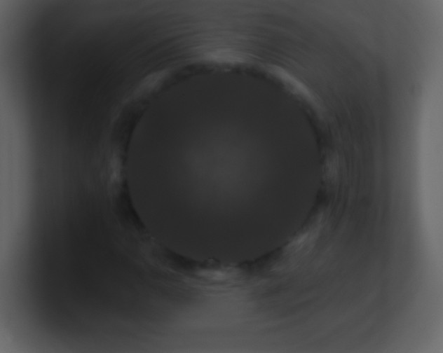 X0000100891110200807081035