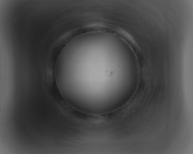 X0000100891111200807081035